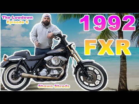 This is why you NEED an FXR | The Low Down #6 | Shawn Shreds