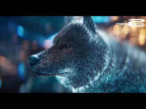 Wolffman -  Step In (Official Video) HD