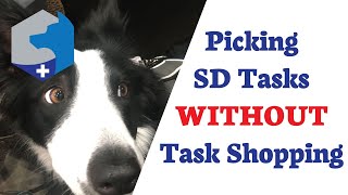 How to Pick Service Dog Tasks