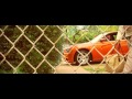 Frenchie BSM ft Waka Flocka - Power Moves ...