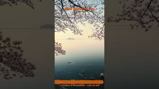 Miniature YouTube : Blue Notes In Sky | Musique Lo-Fi pour Voyage Intérieur par Soochrys