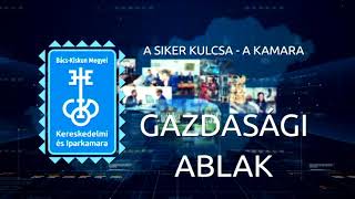 GAZDASÁGI ABLAK