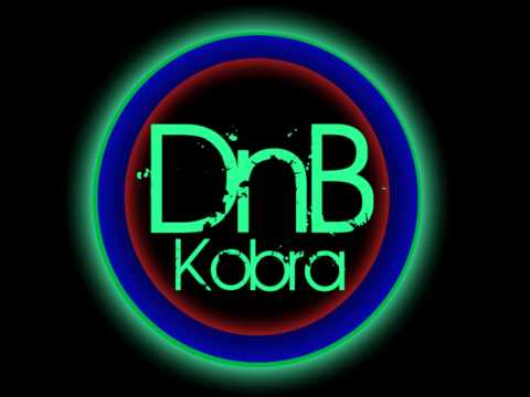 DJ Fresh - The Feeling (Ft. RaVaughn) (Metrik Remix)