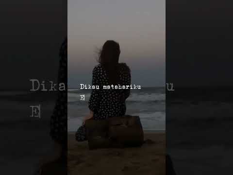Dikau matahariku ( Lagu untuk winda )