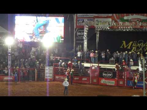 Desafio do Bem - Ricardo Rosseto para Zoinho!!