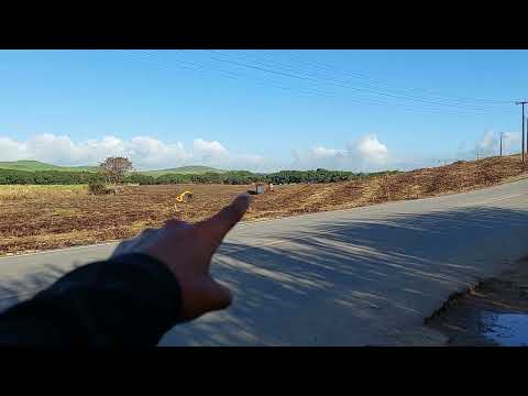 Porto Calvo Alagoas 