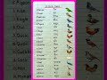 20 Birds Name in English and Hindi | Birds Name | पक्षियों के नाम | Birds Name in English #shorts