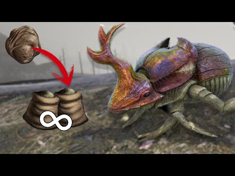 HOW TO TAME A DUNG BEETLE & ALL ITS SKILLS (PC, PS & XBOX) - ARK