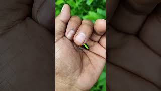 Download lagu https://youtube.com/shorts/FbQoVGoY1JM?si=7vQmVBsortUcpaF1 mp3