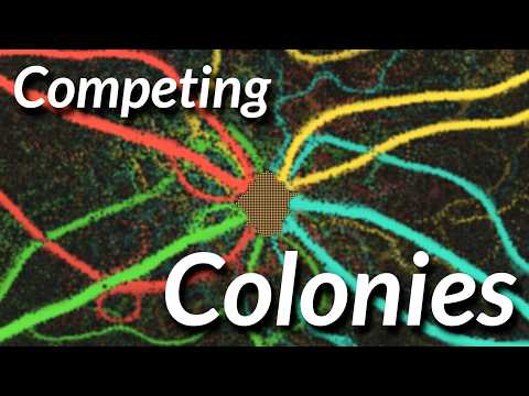 Ant Simulator 2 - Multiple Colonies