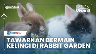 Tawarkan Serunya Bermain di Rabbit Garden, Cimory Dairyland Puncak Sediakan Beragam Fasilitas Unik