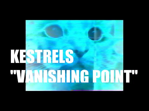 Kestrels - Vanishing Point (Official Music Video)