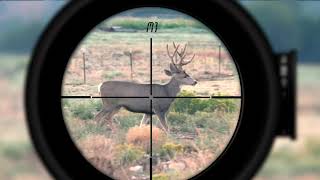 Video: Konus Konuspro EL-30 6-24x50 SF SPF Belyst Multi Kikarsikte