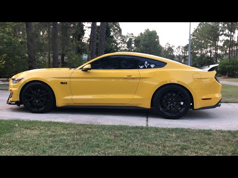 BRAND NEW Wicker Bill Spoiler for the Mustang!