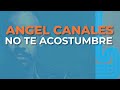 Angel Canales - No Te Acostumbre (Audio Oficial)