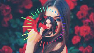 Download lagu Arabic Remix - Bilhabin Ali Demirel Remix mp3