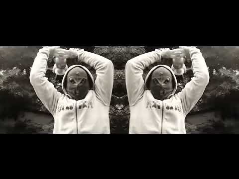 ROGAL DDL - NOC (VIDEO)