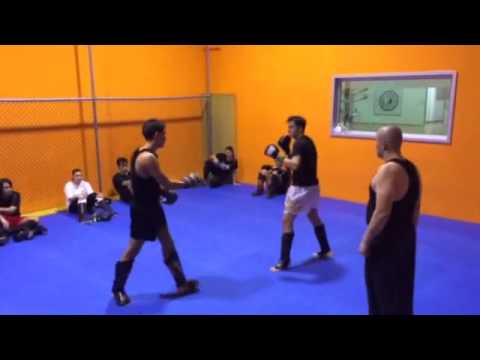 Matteo antolini-kickboxe