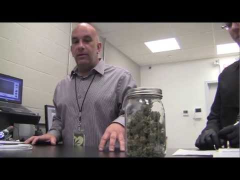 When Was Medical Cannabis Legalized in Rhode Island?
