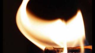 Guillemots - Sea Out (lyrics)