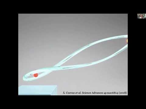 LAUSSY Fabrice, Polaritons in the quantum era