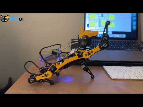 Create New Bittle Skill Greeting - Petoi Coding Blocks Robotics Curriculum 04 - Robotics Coding