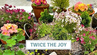 Planting Out The Spring Tablescape Perennials // Cottoverdi