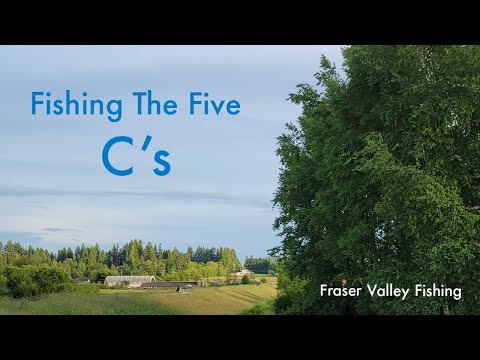 Fishing The Five C's-- Cutthroat, Crappie, Carp, Catfish and Crayfish in the Fraser Valley
