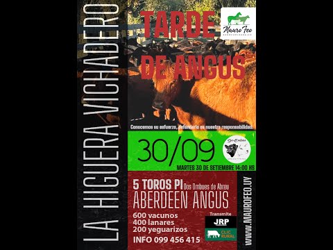 30-09-2025 Mauro Feo negocios rurales,  La Higuera Vichadero Rivera