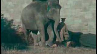 preview picture of video 'Edinburgh Zoo (1926)'