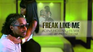 Freak Like Me  Adina Howard remix by Profisi Culcha