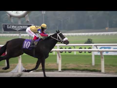 230624 c07 -  ALERTA KEEP - HIPODROMO DE MAROÑAS