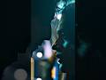 Saiyaara Actress Aneet Padda Hot Kiss Scene Aneet Padda Hot Reels Kiss Saiyaara Aneetpadda