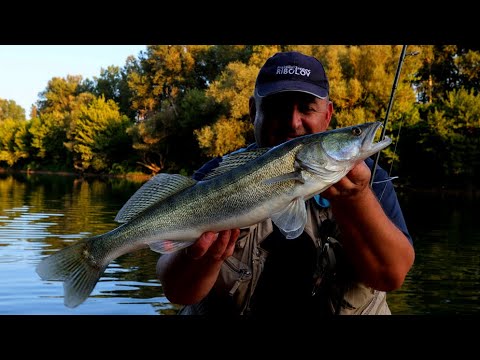 Smuđ - ljetni ribolov na filet i repić / 4k