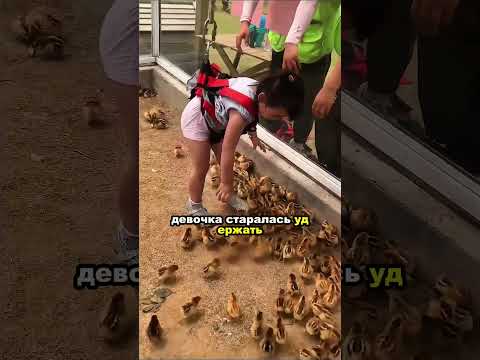 Самая милая миссия на свете ❤️🐥#explore