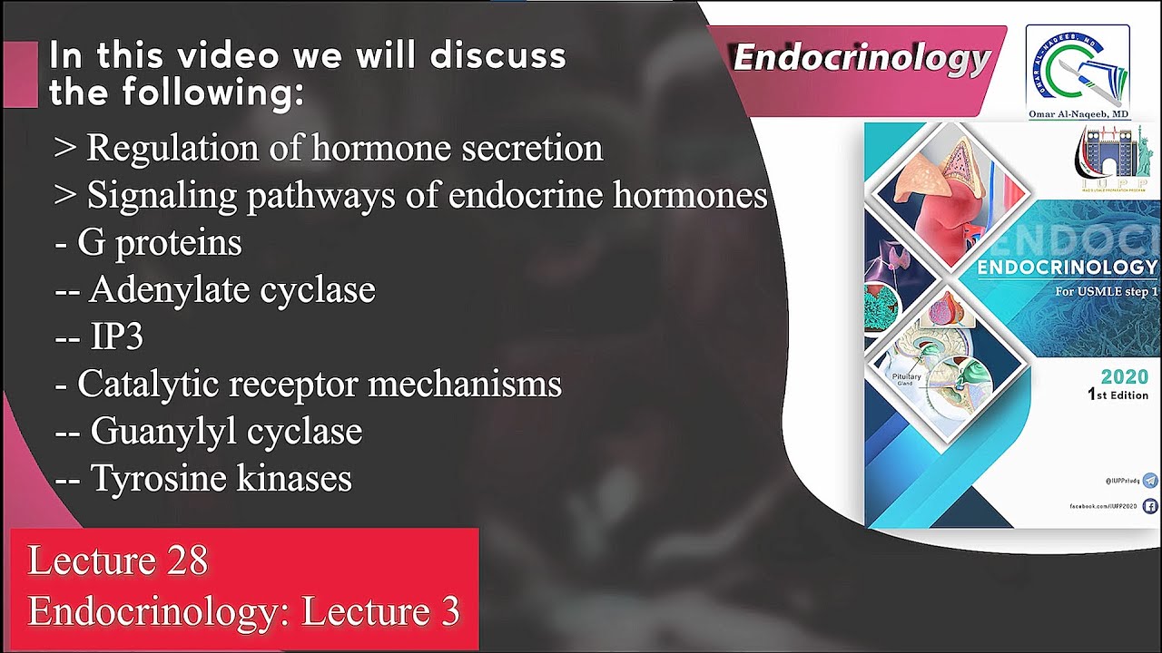 Signaling pathways of endocrine hormones: G proteins || Guanylyl cyclase || Tyrosine kinases