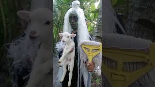 Download lagu PARODI MAK LAMPIR MEMBAWA MURID BARU TERLUCU 2021 mp3