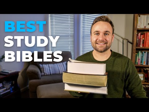 Best Study Bibles for Beginners