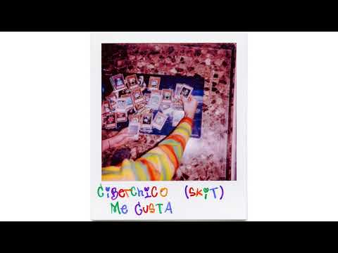 Ciberchico - Me gusta [POLAROID]