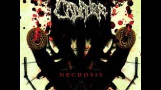 cadaver - 09.heartworm