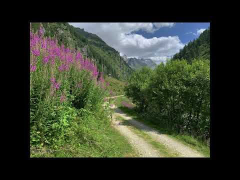 MTB OLIVONE - DIGA LUZZONE - CAPANNA ADULA