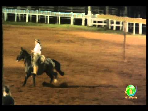 23ª Fecars» Prova de Rédeas Prenda com idade de Guri» 26ª RT