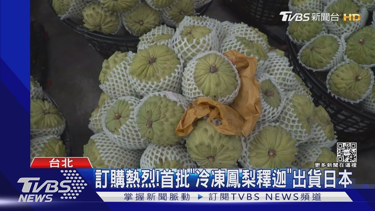 訂購熱烈! 首批「冷凍鳳梨釋迦」出貨日本