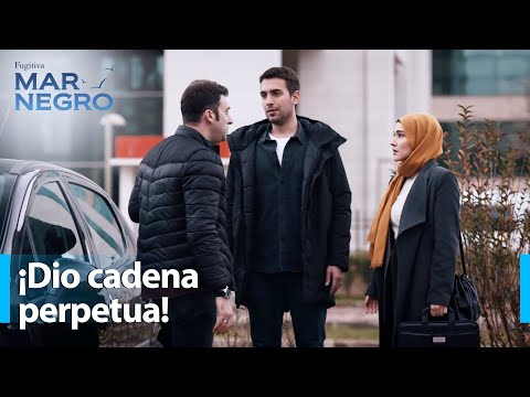 La broma de cadena perpetua de Tahir a Ali - Mar Negro Capítulo 142 | Fugitiva