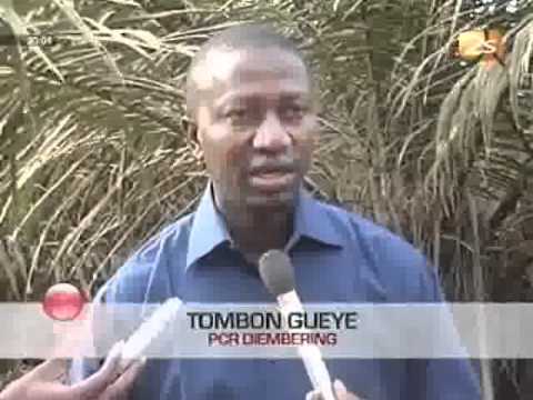 Le PCR de Diembéring appelle l'Etat à la Construction de Route - JT Français - 13 Mai 2012