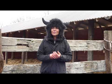 Diablica na dachu 🙂