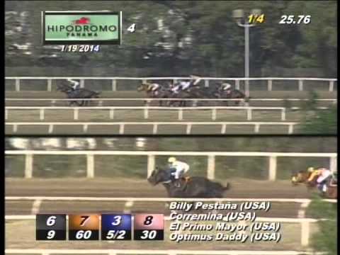 4TA CARRERA DOMINGO 19 DE ENERO DE 2014