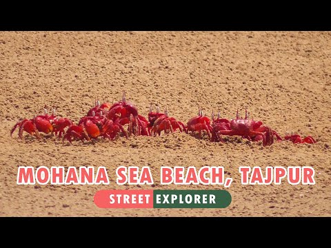Mohana Sea Beach | Tajpur | Red Crab | Mandarmani (FULL HD)
