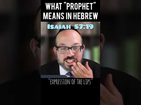 What is a Navi / Prophet? #shorts