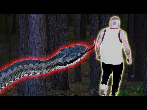 NAJWIĘKSZY POSTRACH CAŁEJ POLSKI!!! ŚMIERTELNIE JADOWITA!!!